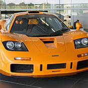 Historic / Papaya Orange